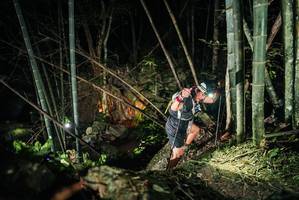 BIB: 
                            <button type="button" onclick="openModal(27958045)" class="btn btn-primary btn-sm float-right btn-popup" data-toggle="modal" data-target=".modal-high-quality">
                        <i class="fas fa-shopping-cart"></i> Add to Cart
                    </button>
                                            <button type="button" onclick="isThisMe(27958045, true)" class="btn btn-success btn-sm float-right btn-popup btn-isme hidden" data-toggle="tooltip" data-placement="bottom" title="นี่คือรูปของคุณใช่ไหม คลิกที่นี่เพื่อเอาเข้าอัลบั้ม">
                        <i class="fas fa-plus"></i> Add to album
                    </button>
                    <button type="button" onclick="isThisMe(27958045, false)" class="btn btn-warning btn-sm float-right btn-popup btn-isnotme hidden">
                        <i class="fas fa-ban"></i> Remove from album
                    </button>