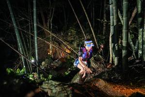 BIB: 
                            <button type="button" onclick="openModal(27958094)" class="btn btn-primary btn-sm float-right btn-popup" data-toggle="modal" data-target=".modal-high-quality">
                        <i class="fas fa-shopping-cart"></i> Add to Cart
                    </button>
                                            <button type="button" onclick="isThisMe(27958094, true)" class="btn btn-success btn-sm float-right btn-popup btn-isme hidden" data-toggle="tooltip" data-placement="bottom" title="นี่คือรูปของคุณใช่ไหม คลิกที่นี่เพื่อเอาเข้าอัลบั้ม">
                        <i class="fas fa-plus"></i> Add to album
                    </button>
                    <button type="button" onclick="isThisMe(27958094, false)" class="btn btn-warning btn-sm float-right btn-popup btn-isnotme hidden">
                        <i class="fas fa-ban"></i> Remove from album
                    </button>