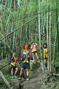 BIB: 
                            <button type="button" onclick="openModal(27952597)" class="btn btn-primary btn-sm float-right btn-popup" data-toggle="modal" data-target=".modal-high-quality">
                        <i class="fas fa-shopping-cart"></i> Add to Cart
                    </button>
                                            <button type="button" onclick="isThisMe(27952597, true)" class="btn btn-success btn-sm float-right btn-popup btn-isme hidden" data-toggle="tooltip" data-placement="bottom" title="นี่คือรูปของคุณใช่ไหม คลิกที่นี่เพื่อเอาเข้าอัลบั้ม">
                        <i class="fas fa-plus"></i> Add to album
                    </button>
                    <button type="button" onclick="isThisMe(27952597, false)" class="btn btn-warning btn-sm float-right btn-popup btn-isnotme hidden">
                        <i class="fas fa-ban"></i> Remove from album
                    </button>