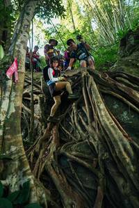 BIB: 
                            <button type="button" onclick="openModal(28060976)" class="btn btn-primary btn-sm float-right btn-popup" data-toggle="modal" data-target=".modal-high-quality">
                        <i class="fas fa-shopping-cart"></i> Add to Cart
                    </button>
                                            <button type="button" onclick="isThisMe(28060976, true)" class="btn btn-success btn-sm float-right btn-popup btn-isme hidden" data-toggle="tooltip" data-placement="bottom" title="นี่คือรูปของคุณใช่ไหม คลิกที่นี่เพื่อเอาเข้าอัลบั้ม">
                        <i class="fas fa-plus"></i> Add to album
                    </button>
                    <button type="button" onclick="isThisMe(28060976, false)" class="btn btn-warning btn-sm float-right btn-popup btn-isnotme hidden">
                        <i class="fas fa-ban"></i> Remove from album
                    </button>