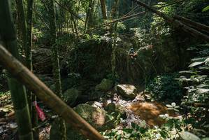 BIB: 
                            <button type="button" onclick="openModal(28063054)" class="btn btn-primary btn-sm float-right btn-popup" data-toggle="modal" data-target=".modal-high-quality">
                        <i class="fas fa-shopping-cart"></i> Add to Cart
                    </button>
                                            <button type="button" onclick="isThisMe(28063054, true)" class="btn btn-success btn-sm float-right btn-popup btn-isme hidden" data-toggle="tooltip" data-placement="bottom" title="นี่คือรูปของคุณใช่ไหม คลิกที่นี่เพื่อเอาเข้าอัลบั้ม">
                        <i class="fas fa-plus"></i> Add to album
                    </button>
                    <button type="button" onclick="isThisMe(28063054, false)" class="btn btn-warning btn-sm float-right btn-popup btn-isnotme hidden">
                        <i class="fas fa-ban"></i> Remove from album
                    </button>