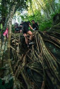 BIB: 
                            <button type="button" onclick="openModal(28055163)" class="btn btn-primary btn-sm float-right btn-popup" data-toggle="modal" data-target=".modal-high-quality">
                        <i class="fas fa-shopping-cart"></i> Add to Cart
                    </button>
                                            <button type="button" onclick="isThisMe(28055163, true)" class="btn btn-success btn-sm float-right btn-popup btn-isme hidden" data-toggle="tooltip" data-placement="bottom" title="นี่คือรูปของคุณใช่ไหม คลิกที่นี่เพื่อเอาเข้าอัลบั้ม">
                        <i class="fas fa-plus"></i> Add to album
                    </button>
                    <button type="button" onclick="isThisMe(28055163, false)" class="btn btn-warning btn-sm float-right btn-popup btn-isnotme hidden">
                        <i class="fas fa-ban"></i> Remove from album
                    </button>