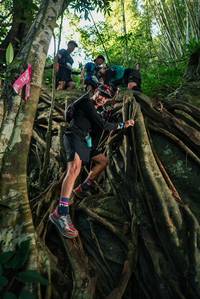 BIB: 
                            <button type="button" onclick="openModal(28061426)" class="btn btn-primary btn-sm float-right btn-popup" data-toggle="modal" data-target=".modal-high-quality">
                        <i class="fas fa-shopping-cart"></i> Add to Cart
                    </button>
                                            <button type="button" onclick="isThisMe(28061426, true)" class="btn btn-success btn-sm float-right btn-popup btn-isme hidden" data-toggle="tooltip" data-placement="bottom" title="นี่คือรูปของคุณใช่ไหม คลิกที่นี่เพื่อเอาเข้าอัลบั้ม">
                        <i class="fas fa-plus"></i> Add to album
                    </button>
                    <button type="button" onclick="isThisMe(28061426, false)" class="btn btn-warning btn-sm float-right btn-popup btn-isnotme hidden">
                        <i class="fas fa-ban"></i> Remove from album
                    </button>