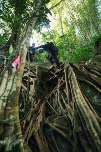 BIB: 
                            <button type="button" onclick="openModal(28062437)" class="btn btn-primary btn-sm float-right btn-popup" data-toggle="modal" data-target=".modal-high-quality">
                        <i class="fas fa-shopping-cart"></i> Add to Cart
                    </button>
                                            <button type="button" onclick="isThisMe(28062437, true)" class="btn btn-success btn-sm float-right btn-popup btn-isme hidden" data-toggle="tooltip" data-placement="bottom" title="นี่คือรูปของคุณใช่ไหม คลิกที่นี่เพื่อเอาเข้าอัลบั้ม">
                        <i class="fas fa-plus"></i> Add to album
                    </button>
                    <button type="button" onclick="isThisMe(28062437, false)" class="btn btn-warning btn-sm float-right btn-popup btn-isnotme hidden">
                        <i class="fas fa-ban"></i> Remove from album
                    </button>