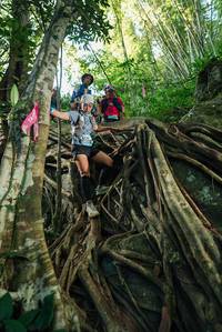 BIB: 
                            <button type="button" onclick="openModal(28061071)" class="btn btn-primary btn-sm float-right btn-popup" data-toggle="modal" data-target=".modal-high-quality">
                        <i class="fas fa-shopping-cart"></i> Add to Cart
                    </button>
                                            <button type="button" onclick="isThisMe(28061071, true)" class="btn btn-success btn-sm float-right btn-popup btn-isme hidden" data-toggle="tooltip" data-placement="bottom" title="นี่คือรูปของคุณใช่ไหม คลิกที่นี่เพื่อเอาเข้าอัลบั้ม">
                        <i class="fas fa-plus"></i> Add to album
                    </button>
                    <button type="button" onclick="isThisMe(28061071, false)" class="btn btn-warning btn-sm float-right btn-popup btn-isnotme hidden">
                        <i class="fas fa-ban"></i> Remove from album
                    </button>