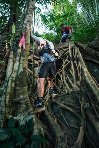 BIB: 
                            <button type="button" onclick="openModal(28052655)" class="btn btn-primary btn-sm float-right btn-popup" data-toggle="modal" data-target=".modal-high-quality">
                        <i class="fas fa-shopping-cart"></i> Add to Cart
                    </button>
                                            <button type="button" onclick="isThisMe(28052655, true)" class="btn btn-success btn-sm float-right btn-popup btn-isme hidden" data-toggle="tooltip" data-placement="bottom" title="นี่คือรูปของคุณใช่ไหม คลิกที่นี่เพื่อเอาเข้าอัลบั้ม">
                        <i class="fas fa-plus"></i> Add to album
                    </button>
                    <button type="button" onclick="isThisMe(28052655, false)" class="btn btn-warning btn-sm float-right btn-popup btn-isnotme hidden">
                        <i class="fas fa-ban"></i> Remove from album
                    </button>