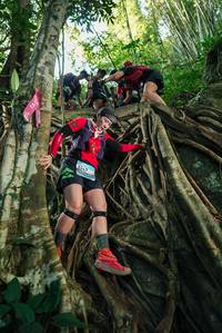 BIB: 
                            <button type="button" onclick="openModal(28061127)" class="btn btn-primary btn-sm float-right btn-popup" data-toggle="modal" data-target=".modal-high-quality">
                        <i class="fas fa-shopping-cart"></i> Add to Cart
                    </button>
                                            <button type="button" onclick="isThisMe(28061127, true)" class="btn btn-success btn-sm float-right btn-popup btn-isme hidden" data-toggle="tooltip" data-placement="bottom" title="นี่คือรูปของคุณใช่ไหม คลิกที่นี่เพื่อเอาเข้าอัลบั้ม">
                        <i class="fas fa-plus"></i> Add to album
                    </button>
                    <button type="button" onclick="isThisMe(28061127, false)" class="btn btn-warning btn-sm float-right btn-popup btn-isnotme hidden">
                        <i class="fas fa-ban"></i> Remove from album
                    </button>