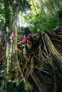 BIB: 
                            <button type="button" onclick="openModal(28062565)" class="btn btn-primary btn-sm float-right btn-popup" data-toggle="modal" data-target=".modal-high-quality">
                        <i class="fas fa-shopping-cart"></i> Add to Cart
                    </button>
                                            <button type="button" onclick="isThisMe(28062565, true)" class="btn btn-success btn-sm float-right btn-popup btn-isme hidden" data-toggle="tooltip" data-placement="bottom" title="นี่คือรูปของคุณใช่ไหม คลิกที่นี่เพื่อเอาเข้าอัลบั้ม">
                        <i class="fas fa-plus"></i> Add to album
                    </button>
                    <button type="button" onclick="isThisMe(28062565, false)" class="btn btn-warning btn-sm float-right btn-popup btn-isnotme hidden">
                        <i class="fas fa-ban"></i> Remove from album
                    </button>