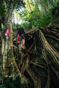 BIB: 
                            <button type="button" onclick="openModal(28062566)" class="btn btn-primary btn-sm float-right btn-popup" data-toggle="modal" data-target=".modal-high-quality">
                        <i class="fas fa-shopping-cart"></i> Add to Cart
                    </button>
                                            <button type="button" onclick="isThisMe(28062566, true)" class="btn btn-success btn-sm float-right btn-popup btn-isme hidden" data-toggle="tooltip" data-placement="bottom" title="นี่คือรูปของคุณใช่ไหม คลิกที่นี่เพื่อเอาเข้าอัลบั้ม">
                        <i class="fas fa-plus"></i> Add to album
                    </button>
                    <button type="button" onclick="isThisMe(28062566, false)" class="btn btn-warning btn-sm float-right btn-popup btn-isnotme hidden">
                        <i class="fas fa-ban"></i> Remove from album
                    </button>