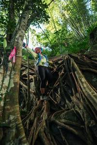 BIB: 
                            <button type="button" onclick="openModal(28062739)" class="btn btn-primary btn-sm float-right btn-popup" data-toggle="modal" data-target=".modal-high-quality">
                        <i class="fas fa-shopping-cart"></i> Add to Cart
                    </button>
                                            <button type="button" onclick="isThisMe(28062739, true)" class="btn btn-success btn-sm float-right btn-popup btn-isme hidden" data-toggle="tooltip" data-placement="bottom" title="นี่คือรูปของคุณใช่ไหม คลิกที่นี่เพื่อเอาเข้าอัลบั้ม">
                        <i class="fas fa-plus"></i> Add to album
                    </button>
                    <button type="button" onclick="isThisMe(28062739, false)" class="btn btn-warning btn-sm float-right btn-popup btn-isnotme hidden">
                        <i class="fas fa-ban"></i> Remove from album
                    </button>