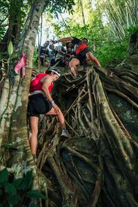 BIB: 
                            <button type="button" onclick="openModal(28060462)" class="btn btn-primary btn-sm float-right btn-popup" data-toggle="modal" data-target=".modal-high-quality">
                        <i class="fas fa-shopping-cart"></i> Add to Cart
                    </button>
                                            <button type="button" onclick="isThisMe(28060462, true)" class="btn btn-success btn-sm float-right btn-popup btn-isme hidden" data-toggle="tooltip" data-placement="bottom" title="นี่คือรูปของคุณใช่ไหม คลิกที่นี่เพื่อเอาเข้าอัลบั้ม">
                        <i class="fas fa-plus"></i> Add to album
                    </button>
                    <button type="button" onclick="isThisMe(28060462, false)" class="btn btn-warning btn-sm float-right btn-popup btn-isnotme hidden">
                        <i class="fas fa-ban"></i> Remove from album
                    </button>