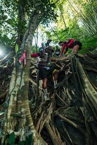 BIB: 
                            <button type="button" onclick="openModal(28060003)" class="btn btn-primary btn-sm float-right btn-popup" data-toggle="modal" data-target=".modal-high-quality">
                        <i class="fas fa-shopping-cart"></i> Add to Cart
                    </button>
                                            <button type="button" onclick="isThisMe(28060003, true)" class="btn btn-success btn-sm float-right btn-popup btn-isme hidden" data-toggle="tooltip" data-placement="bottom" title="นี่คือรูปของคุณใช่ไหม คลิกที่นี่เพื่อเอาเข้าอัลบั้ม">
                        <i class="fas fa-plus"></i> Add to album
                    </button>
                    <button type="button" onclick="isThisMe(28060003, false)" class="btn btn-warning btn-sm float-right btn-popup btn-isnotme hidden">
                        <i class="fas fa-ban"></i> Remove from album
                    </button>