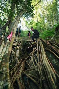 BIB: 
                            <button type="button" onclick="openModal(28062439)" class="btn btn-primary btn-sm float-right btn-popup" data-toggle="modal" data-target=".modal-high-quality">
                        <i class="fas fa-shopping-cart"></i> Add to Cart
                    </button>
                                            <button type="button" onclick="isThisMe(28062439, true)" class="btn btn-success btn-sm float-right btn-popup btn-isme hidden" data-toggle="tooltip" data-placement="bottom" title="นี่คือรูปของคุณใช่ไหม คลิกที่นี่เพื่อเอาเข้าอัลบั้ม">
                        <i class="fas fa-plus"></i> Add to album
                    </button>
                    <button type="button" onclick="isThisMe(28062439, false)" class="btn btn-warning btn-sm float-right btn-popup btn-isnotme hidden">
                        <i class="fas fa-ban"></i> Remove from album
                    </button>