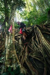 BIB: 
                            <button type="button" onclick="openModal(28062560)" class="btn btn-primary btn-sm float-right btn-popup" data-toggle="modal" data-target=".modal-high-quality">
                        <i class="fas fa-shopping-cart"></i> Add to Cart
                    </button>
                                            <button type="button" onclick="isThisMe(28062560, true)" class="btn btn-success btn-sm float-right btn-popup btn-isme hidden" data-toggle="tooltip" data-placement="bottom" title="นี่คือรูปของคุณใช่ไหม คลิกที่นี่เพื่อเอาเข้าอัลบั้ม">
                        <i class="fas fa-plus"></i> Add to album
                    </button>
                    <button type="button" onclick="isThisMe(28062560, false)" class="btn btn-warning btn-sm float-right btn-popup btn-isnotme hidden">
                        <i class="fas fa-ban"></i> Remove from album
                    </button>