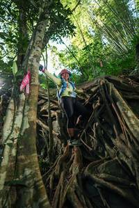 BIB: 
                            <button type="button" onclick="openModal(28062729)" class="btn btn-primary btn-sm float-right btn-popup" data-toggle="modal" data-target=".modal-high-quality">
                        <i class="fas fa-shopping-cart"></i> Add to Cart
                    </button>
                                            <button type="button" onclick="isThisMe(28062729, true)" class="btn btn-success btn-sm float-right btn-popup btn-isme hidden" data-toggle="tooltip" data-placement="bottom" title="นี่คือรูปของคุณใช่ไหม คลิกที่นี่เพื่อเอาเข้าอัลบั้ม">
                        <i class="fas fa-plus"></i> Add to album
                    </button>
                    <button type="button" onclick="isThisMe(28062729, false)" class="btn btn-warning btn-sm float-right btn-popup btn-isnotme hidden">
                        <i class="fas fa-ban"></i> Remove from album
                    </button>