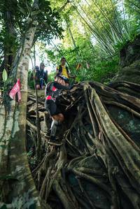 BIB: 
                            <button type="button" onclick="openModal(28054193)" class="btn btn-primary btn-sm float-right btn-popup" data-toggle="modal" data-target=".modal-high-quality">
                        <i class="fas fa-shopping-cart"></i> Add to Cart
                    </button>
                                            <button type="button" onclick="isThisMe(28054193, true)" class="btn btn-success btn-sm float-right btn-popup btn-isme hidden" data-toggle="tooltip" data-placement="bottom" title="นี่คือรูปของคุณใช่ไหม คลิกที่นี่เพื่อเอาเข้าอัลบั้ม">
                        <i class="fas fa-plus"></i> Add to album
                    </button>
                    <button type="button" onclick="isThisMe(28054193, false)" class="btn btn-warning btn-sm float-right btn-popup btn-isnotme hidden">
                        <i class="fas fa-ban"></i> Remove from album
                    </button>