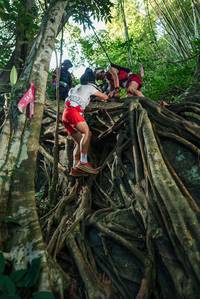 BIB: 
                            <button type="button" onclick="openModal(28055393)" class="btn btn-primary btn-sm float-right btn-popup" data-toggle="modal" data-target=".modal-high-quality">
                        <i class="fas fa-shopping-cart"></i> Add to Cart
                    </button>
                                            <button type="button" onclick="isThisMe(28055393, true)" class="btn btn-success btn-sm float-right btn-popup btn-isme hidden" data-toggle="tooltip" data-placement="bottom" title="นี่คือรูปของคุณใช่ไหม คลิกที่นี่เพื่อเอาเข้าอัลบั้ม">
                        <i class="fas fa-plus"></i> Add to album
                    </button>
                    <button type="button" onclick="isThisMe(28055393, false)" class="btn btn-warning btn-sm float-right btn-popup btn-isnotme hidden">
                        <i class="fas fa-ban"></i> Remove from album
                    </button>