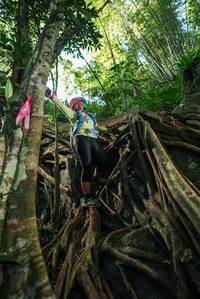 BIB: 
                            <button type="button" onclick="openModal(28062738)" class="btn btn-primary btn-sm float-right btn-popup" data-toggle="modal" data-target=".modal-high-quality">
                        <i class="fas fa-shopping-cart"></i> Add to Cart
                    </button>
                                            <button type="button" onclick="isThisMe(28062738, true)" class="btn btn-success btn-sm float-right btn-popup btn-isme hidden" data-toggle="tooltip" data-placement="bottom" title="นี่คือรูปของคุณใช่ไหม คลิกที่นี่เพื่อเอาเข้าอัลบั้ม">
                        <i class="fas fa-plus"></i> Add to album
                    </button>
                    <button type="button" onclick="isThisMe(28062738, false)" class="btn btn-warning btn-sm float-right btn-popup btn-isnotme hidden">
                        <i class="fas fa-ban"></i> Remove from album
                    </button>