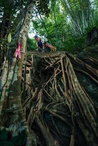 BIB: 
                            <button type="button" onclick="openModal(28052741)" class="btn btn-primary btn-sm float-right btn-popup" data-toggle="modal" data-target=".modal-high-quality">
                        <i class="fas fa-shopping-cart"></i> Add to Cart
                    </button>
                                            <button type="button" onclick="isThisMe(28052741, true)" class="btn btn-success btn-sm float-right btn-popup btn-isme hidden" data-toggle="tooltip" data-placement="bottom" title="นี่คือรูปของคุณใช่ไหม คลิกที่นี่เพื่อเอาเข้าอัลบั้ม">
                        <i class="fas fa-plus"></i> Add to album
                    </button>
                    <button type="button" onclick="isThisMe(28052741, false)" class="btn btn-warning btn-sm float-right btn-popup btn-isnotme hidden">
                        <i class="fas fa-ban"></i> Remove from album
                    </button>