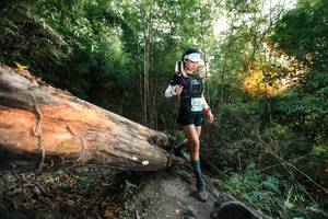 BIB: 
                            <button type="button" onclick="openModal(27958014)" class="btn btn-primary btn-sm float-right btn-popup" data-toggle="modal" data-target=".modal-high-quality">
                        <i class="fas fa-shopping-cart"></i> Add to Cart
                    </button>
                                            <button type="button" onclick="isThisMe(27958014, true)" class="btn btn-success btn-sm float-right btn-popup btn-isme hidden" data-toggle="tooltip" data-placement="bottom" title="นี่คือรูปของคุณใช่ไหม คลิกที่นี่เพื่อเอาเข้าอัลบั้ม">
                        <i class="fas fa-plus"></i> Add to album
                    </button>
                    <button type="button" onclick="isThisMe(27958014, false)" class="btn btn-warning btn-sm float-right btn-popup btn-isnotme hidden">
                        <i class="fas fa-ban"></i> Remove from album
                    </button>