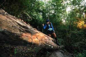 BIB: 
                            <button type="button" onclick="openModal(27951499)" class="btn btn-primary btn-sm float-right btn-popup" data-toggle="modal" data-target=".modal-high-quality">
                        <i class="fas fa-shopping-cart"></i> Add to Cart
                    </button>
                                            <button type="button" onclick="isThisMe(27951499, true)" class="btn btn-success btn-sm float-right btn-popup btn-isme hidden" data-toggle="tooltip" data-placement="bottom" title="นี่คือรูปของคุณใช่ไหม คลิกที่นี่เพื่อเอาเข้าอัลบั้ม">
                        <i class="fas fa-plus"></i> Add to album
                    </button>
                    <button type="button" onclick="isThisMe(27951499, false)" class="btn btn-warning btn-sm float-right btn-popup btn-isnotme hidden">
                        <i class="fas fa-ban"></i> Remove from album
                    </button>