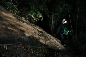 BIB: 
                            <button type="button" onclick="openModal(27965489)" class="btn btn-primary btn-sm float-right btn-popup" data-toggle="modal" data-target=".modal-high-quality">
                        <i class="fas fa-shopping-cart"></i> Add to Cart
                    </button>
                                            <button type="button" onclick="isThisMe(27965489, true)" class="btn btn-success btn-sm float-right btn-popup btn-isme hidden" data-toggle="tooltip" data-placement="bottom" title="นี่คือรูปของคุณใช่ไหม คลิกที่นี่เพื่อเอาเข้าอัลบั้ม">
                        <i class="fas fa-plus"></i> Add to album
                    </button>
                    <button type="button" onclick="isThisMe(27965489, false)" class="btn btn-warning btn-sm float-right btn-popup btn-isnotme hidden">
                        <i class="fas fa-ban"></i> Remove from album
                    </button>