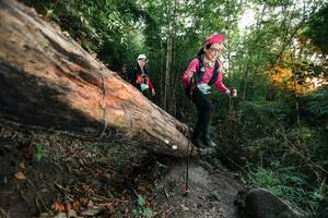 BIB: 
                            <button type="button" onclick="openModal(27958363)" class="btn btn-primary btn-sm float-right btn-popup" data-toggle="modal" data-target=".modal-high-quality">
                        <i class="fas fa-shopping-cart"></i> Add to Cart
                    </button>
                                            <button type="button" onclick="isThisMe(27958363, true)" class="btn btn-success btn-sm float-right btn-popup btn-isme hidden" data-toggle="tooltip" data-placement="bottom" title="นี่คือรูปของคุณใช่ไหม คลิกที่นี่เพื่อเอาเข้าอัลบั้ม">
                        <i class="fas fa-plus"></i> Add to album
                    </button>
                    <button type="button" onclick="isThisMe(27958363, false)" class="btn btn-warning btn-sm float-right btn-popup btn-isnotme hidden">
                        <i class="fas fa-ban"></i> Remove from album
                    </button>