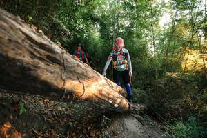 BIB: 
                            <button type="button" onclick="openModal(27943048)" class="btn btn-primary btn-sm float-right btn-popup" data-toggle="modal" data-target=".modal-high-quality">
                        <i class="fas fa-shopping-cart"></i> Add to Cart
                    </button>
                                            <button type="button" onclick="isThisMe(27943048, true)" class="btn btn-success btn-sm float-right btn-popup btn-isme hidden" data-toggle="tooltip" data-placement="bottom" title="นี่คือรูปของคุณใช่ไหม คลิกที่นี่เพื่อเอาเข้าอัลบั้ม">
                        <i class="fas fa-plus"></i> Add to album
                    </button>
                    <button type="button" onclick="isThisMe(27943048, false)" class="btn btn-warning btn-sm float-right btn-popup btn-isnotme hidden">
                        <i class="fas fa-ban"></i> Remove from album
                    </button>