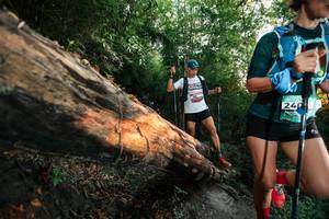 BIB: 
                            <button type="button" onclick="openModal(27949867)" class="btn btn-primary btn-sm float-right btn-popup" data-toggle="modal" data-target=".modal-high-quality">
                        <i class="fas fa-shopping-cart"></i> Add to Cart
                    </button>
                                            <button type="button" onclick="isThisMe(27949867, true)" class="btn btn-success btn-sm float-right btn-popup btn-isme hidden" data-toggle="tooltip" data-placement="bottom" title="นี่คือรูปของคุณใช่ไหม คลิกที่นี่เพื่อเอาเข้าอัลบั้ม">
                        <i class="fas fa-plus"></i> Add to album
                    </button>
                    <button type="button" onclick="isThisMe(27949867, false)" class="btn btn-warning btn-sm float-right btn-popup btn-isnotme hidden">
                        <i class="fas fa-ban"></i> Remove from album
                    </button>