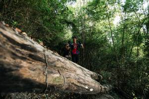 BIB: 
                            <button type="button" onclick="openModal(27934577)" class="btn btn-primary btn-sm float-right btn-popup" data-toggle="modal" data-target=".modal-high-quality">
                        <i class="fas fa-shopping-cart"></i> Add to Cart
                    </button>
                                            <button type="button" onclick="isThisMe(27934577, true)" class="btn btn-success btn-sm float-right btn-popup btn-isme hidden" data-toggle="tooltip" data-placement="bottom" title="นี่คือรูปของคุณใช่ไหม คลิกที่นี่เพื่อเอาเข้าอัลบั้ม">
                        <i class="fas fa-plus"></i> Add to album
                    </button>
                    <button type="button" onclick="isThisMe(27934577, false)" class="btn btn-warning btn-sm float-right btn-popup btn-isnotme hidden">
                        <i class="fas fa-ban"></i> Remove from album
                    </button>