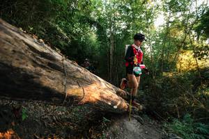 BIB: 
                            <button type="button" onclick="openModal(27941058)" class="btn btn-primary btn-sm float-right btn-popup" data-toggle="modal" data-target=".modal-high-quality">
                        <i class="fas fa-shopping-cart"></i> Add to Cart
                    </button>
                                            <button type="button" onclick="isThisMe(27941058, true)" class="btn btn-success btn-sm float-right btn-popup btn-isme hidden" data-toggle="tooltip" data-placement="bottom" title="นี่คือรูปของคุณใช่ไหม คลิกที่นี่เพื่อเอาเข้าอัลบั้ม">
                        <i class="fas fa-plus"></i> Add to album
                    </button>
                    <button type="button" onclick="isThisMe(27941058, false)" class="btn btn-warning btn-sm float-right btn-popup btn-isnotme hidden">
                        <i class="fas fa-ban"></i> Remove from album
                    </button>