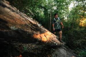 BIB: 
                            <button type="button" onclick="openModal(27948870)" class="btn btn-primary btn-sm float-right btn-popup" data-toggle="modal" data-target=".modal-high-quality">
                        <i class="fas fa-shopping-cart"></i> Add to Cart
                    </button>
                                            <button type="button" onclick="isThisMe(27948870, true)" class="btn btn-success btn-sm float-right btn-popup btn-isme hidden" data-toggle="tooltip" data-placement="bottom" title="นี่คือรูปของคุณใช่ไหม คลิกที่นี่เพื่อเอาเข้าอัลบั้ม">
                        <i class="fas fa-plus"></i> Add to album
                    </button>
                    <button type="button" onclick="isThisMe(27948870, false)" class="btn btn-warning btn-sm float-right btn-popup btn-isnotme hidden">
                        <i class="fas fa-ban"></i> Remove from album
                    </button>