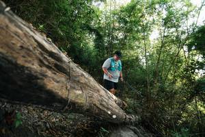 BIB: 
                            <button type="button" onclick="openModal(27935436)" class="btn btn-primary btn-sm float-right btn-popup" data-toggle="modal" data-target=".modal-high-quality">
                        <i class="fas fa-shopping-cart"></i> Add to Cart
                    </button>
                                            <button type="button" onclick="isThisMe(27935436, true)" class="btn btn-success btn-sm float-right btn-popup btn-isme hidden" data-toggle="tooltip" data-placement="bottom" title="นี่คือรูปของคุณใช่ไหม คลิกที่นี่เพื่อเอาเข้าอัลบั้ม">
                        <i class="fas fa-plus"></i> Add to album
                    </button>
                    <button type="button" onclick="isThisMe(27935436, false)" class="btn btn-warning btn-sm float-right btn-popup btn-isnotme hidden">
                        <i class="fas fa-ban"></i> Remove from album
                    </button>