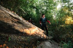 BIB: 
                            <button type="button" onclick="openModal(27945817)" class="btn btn-primary btn-sm float-right btn-popup" data-toggle="modal" data-target=".modal-high-quality">
                        <i class="fas fa-shopping-cart"></i> Add to Cart
                    </button>
                                            <button type="button" onclick="isThisMe(27945817, true)" class="btn btn-success btn-sm float-right btn-popup btn-isme hidden" data-toggle="tooltip" data-placement="bottom" title="นี่คือรูปของคุณใช่ไหม คลิกที่นี่เพื่อเอาเข้าอัลบั้ม">
                        <i class="fas fa-plus"></i> Add to album
                    </button>
                    <button type="button" onclick="isThisMe(27945817, false)" class="btn btn-warning btn-sm float-right btn-popup btn-isnotme hidden">
                        <i class="fas fa-ban"></i> Remove from album
                    </button>