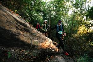 BIB: 
                            <button type="button" onclick="openModal(27938556)" class="btn btn-primary btn-sm float-right btn-popup" data-toggle="modal" data-target=".modal-high-quality">
                        <i class="fas fa-shopping-cart"></i> Add to Cart
                    </button>
                                            <button type="button" onclick="isThisMe(27938556, true)" class="btn btn-success btn-sm float-right btn-popup btn-isme hidden" data-toggle="tooltip" data-placement="bottom" title="นี่คือรูปของคุณใช่ไหม คลิกที่นี่เพื่อเอาเข้าอัลบั้ม">
                        <i class="fas fa-plus"></i> Add to album
                    </button>
                    <button type="button" onclick="isThisMe(27938556, false)" class="btn btn-warning btn-sm float-right btn-popup btn-isnotme hidden">
                        <i class="fas fa-ban"></i> Remove from album
                    </button>