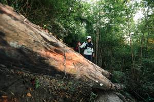 BIB: 
                            <button type="button" onclick="openModal(27958141)" class="btn btn-primary btn-sm float-right btn-popup" data-toggle="modal" data-target=".modal-high-quality">
                        <i class="fas fa-shopping-cart"></i> Add to Cart
                    </button>
                                            <button type="button" onclick="isThisMe(27958141, true)" class="btn btn-success btn-sm float-right btn-popup btn-isme hidden" data-toggle="tooltip" data-placement="bottom" title="นี่คือรูปของคุณใช่ไหม คลิกที่นี่เพื่อเอาเข้าอัลบั้ม">
                        <i class="fas fa-plus"></i> Add to album
                    </button>
                    <button type="button" onclick="isThisMe(27958141, false)" class="btn btn-warning btn-sm float-right btn-popup btn-isnotme hidden">
                        <i class="fas fa-ban"></i> Remove from album
                    </button>