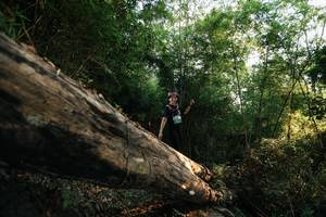 BIB: 
                            <button type="button" onclick="openModal(27935742)" class="btn btn-primary btn-sm float-right btn-popup" data-toggle="modal" data-target=".modal-high-quality">
                        <i class="fas fa-shopping-cart"></i> Add to Cart
                    </button>
                                            <button type="button" onclick="isThisMe(27935742, true)" class="btn btn-success btn-sm float-right btn-popup btn-isme hidden" data-toggle="tooltip" data-placement="bottom" title="นี่คือรูปของคุณใช่ไหม คลิกที่นี่เพื่อเอาเข้าอัลบั้ม">
                        <i class="fas fa-plus"></i> Add to album
                    </button>
                    <button type="button" onclick="isThisMe(27935742, false)" class="btn btn-warning btn-sm float-right btn-popup btn-isnotme hidden">
                        <i class="fas fa-ban"></i> Remove from album
                    </button>