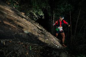 BIB: 
                            <button type="button" onclick="openModal(27965714)" class="btn btn-primary btn-sm float-right btn-popup" data-toggle="modal" data-target=".modal-high-quality">
                        <i class="fas fa-shopping-cart"></i> Add to Cart
                    </button>
                                            <button type="button" onclick="isThisMe(27965714, true)" class="btn btn-success btn-sm float-right btn-popup btn-isme hidden" data-toggle="tooltip" data-placement="bottom" title="นี่คือรูปของคุณใช่ไหม คลิกที่นี่เพื่อเอาเข้าอัลบั้ม">
                        <i class="fas fa-plus"></i> Add to album
                    </button>
                    <button type="button" onclick="isThisMe(27965714, false)" class="btn btn-warning btn-sm float-right btn-popup btn-isnotme hidden">
                        <i class="fas fa-ban"></i> Remove from album
                    </button>