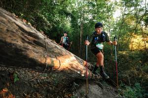 BIB: 
                            <button type="button" onclick="openModal(27944484)" class="btn btn-primary btn-sm float-right btn-popup" data-toggle="modal" data-target=".modal-high-quality">
                        <i class="fas fa-shopping-cart"></i> Add to Cart
                    </button>
                                            <button type="button" onclick="isThisMe(27944484, true)" class="btn btn-success btn-sm float-right btn-popup btn-isme hidden" data-toggle="tooltip" data-placement="bottom" title="นี่คือรูปของคุณใช่ไหม คลิกที่นี่เพื่อเอาเข้าอัลบั้ม">
                        <i class="fas fa-plus"></i> Add to album
                    </button>
                    <button type="button" onclick="isThisMe(27944484, false)" class="btn btn-warning btn-sm float-right btn-popup btn-isnotme hidden">
                        <i class="fas fa-ban"></i> Remove from album
                    </button>