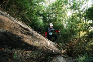 BIB: 
                            <button type="button" onclick="openModal(27934813)" class="btn btn-primary btn-sm float-right btn-popup" data-toggle="modal" data-target=".modal-high-quality">
                        <i class="fas fa-shopping-cart"></i> Add to Cart
                    </button>
                                            <button type="button" onclick="isThisMe(27934813, true)" class="btn btn-success btn-sm float-right btn-popup btn-isme hidden" data-toggle="tooltip" data-placement="bottom" title="นี่คือรูปของคุณใช่ไหม คลิกที่นี่เพื่อเอาเข้าอัลบั้ม">
                        <i class="fas fa-plus"></i> Add to album
                    </button>
                    <button type="button" onclick="isThisMe(27934813, false)" class="btn btn-warning btn-sm float-right btn-popup btn-isnotme hidden">
                        <i class="fas fa-ban"></i> Remove from album
                    </button>