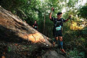 BIB: 
                            <button type="button" onclick="openModal(27947629)" class="btn btn-primary btn-sm float-right btn-popup" data-toggle="modal" data-target=".modal-high-quality">
                        <i class="fas fa-shopping-cart"></i> Add to Cart
                    </button>
                                            <button type="button" onclick="isThisMe(27947629, true)" class="btn btn-success btn-sm float-right btn-popup btn-isme hidden" data-toggle="tooltip" data-placement="bottom" title="นี่คือรูปของคุณใช่ไหม คลิกที่นี่เพื่อเอาเข้าอัลบั้ม">
                        <i class="fas fa-plus"></i> Add to album
                    </button>
                    <button type="button" onclick="isThisMe(27947629, false)" class="btn btn-warning btn-sm float-right btn-popup btn-isnotme hidden">
                        <i class="fas fa-ban"></i> Remove from album
                    </button>