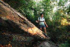 BIB: 
                            <button type="button" onclick="openModal(27947165)" class="btn btn-primary btn-sm float-right btn-popup" data-toggle="modal" data-target=".modal-high-quality">
                        <i class="fas fa-shopping-cart"></i> Add to Cart
                    </button>
                                            <button type="button" onclick="isThisMe(27947165, true)" class="btn btn-success btn-sm float-right btn-popup btn-isme hidden" data-toggle="tooltip" data-placement="bottom" title="นี่คือรูปของคุณใช่ไหม คลิกที่นี่เพื่อเอาเข้าอัลบั้ม">
                        <i class="fas fa-plus"></i> Add to album
                    </button>
                    <button type="button" onclick="isThisMe(27947165, false)" class="btn btn-warning btn-sm float-right btn-popup btn-isnotme hidden">
                        <i class="fas fa-ban"></i> Remove from album
                    </button>