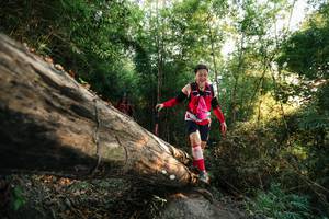 BIB: 
                            <button type="button" onclick="openModal(27936645)" class="btn btn-primary btn-sm float-right btn-popup" data-toggle="modal" data-target=".modal-high-quality">
                        <i class="fas fa-shopping-cart"></i> Add to Cart
                    </button>
                                            <button type="button" onclick="isThisMe(27936645, true)" class="btn btn-success btn-sm float-right btn-popup btn-isme hidden" data-toggle="tooltip" data-placement="bottom" title="นี่คือรูปของคุณใช่ไหม คลิกที่นี่เพื่อเอาเข้าอัลบั้ม">
                        <i class="fas fa-plus"></i> Add to album
                    </button>
                    <button type="button" onclick="isThisMe(27936645, false)" class="btn btn-warning btn-sm float-right btn-popup btn-isnotme hidden">
                        <i class="fas fa-ban"></i> Remove from album
                    </button>