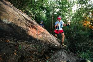 BIB: 
                            <button type="button" onclick="openModal(27958502)" class="btn btn-primary btn-sm float-right btn-popup" data-toggle="modal" data-target=".modal-high-quality">
                        <i class="fas fa-shopping-cart"></i> Add to Cart
                    </button>
                                            <button type="button" onclick="isThisMe(27958502, true)" class="btn btn-success btn-sm float-right btn-popup btn-isme hidden" data-toggle="tooltip" data-placement="bottom" title="นี่คือรูปของคุณใช่ไหม คลิกที่นี่เพื่อเอาเข้าอัลบั้ม">
                        <i class="fas fa-plus"></i> Add to album
                    </button>
                    <button type="button" onclick="isThisMe(27958502, false)" class="btn btn-warning btn-sm float-right btn-popup btn-isnotme hidden">
                        <i class="fas fa-ban"></i> Remove from album
                    </button>