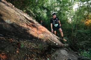 BIB: 
                            <button type="button" onclick="openModal(27958331)" class="btn btn-primary btn-sm float-right btn-popup" data-toggle="modal" data-target=".modal-high-quality">
                        <i class="fas fa-shopping-cart"></i> Add to Cart
                    </button>
                                            <button type="button" onclick="isThisMe(27958331, true)" class="btn btn-success btn-sm float-right btn-popup btn-isme hidden" data-toggle="tooltip" data-placement="bottom" title="นี่คือรูปของคุณใช่ไหม คลิกที่นี่เพื่อเอาเข้าอัลบั้ม">
                        <i class="fas fa-plus"></i> Add to album
                    </button>
                    <button type="button" onclick="isThisMe(27958331, false)" class="btn btn-warning btn-sm float-right btn-popup btn-isnotme hidden">
                        <i class="fas fa-ban"></i> Remove from album
                    </button>