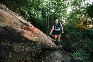 BIB: 
                            <button type="button" onclick="openModal(27958670)" class="btn btn-primary btn-sm float-right btn-popup" data-toggle="modal" data-target=".modal-high-quality">
                        <i class="fas fa-shopping-cart"></i> Add to Cart
                    </button>
                                            <button type="button" onclick="isThisMe(27958670, true)" class="btn btn-success btn-sm float-right btn-popup btn-isme hidden" data-toggle="tooltip" data-placement="bottom" title="นี่คือรูปของคุณใช่ไหม คลิกที่นี่เพื่อเอาเข้าอัลบั้ม">
                        <i class="fas fa-plus"></i> Add to album
                    </button>
                    <button type="button" onclick="isThisMe(27958670, false)" class="btn btn-warning btn-sm float-right btn-popup btn-isnotme hidden">
                        <i class="fas fa-ban"></i> Remove from album
                    </button>