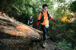 BIB: 
                            <button type="button" onclick="openModal(27958030)" class="btn btn-primary btn-sm float-right btn-popup" data-toggle="modal" data-target=".modal-high-quality">
                        <i class="fas fa-shopping-cart"></i> Add to Cart
                    </button>
                                            <button type="button" onclick="isThisMe(27958030, true)" class="btn btn-success btn-sm float-right btn-popup btn-isme hidden" data-toggle="tooltip" data-placement="bottom" title="นี่คือรูปของคุณใช่ไหม คลิกที่นี่เพื่อเอาเข้าอัลบั้ม">
                        <i class="fas fa-plus"></i> Add to album
                    </button>
                    <button type="button" onclick="isThisMe(27958030, false)" class="btn btn-warning btn-sm float-right btn-popup btn-isnotme hidden">
                        <i class="fas fa-ban"></i> Remove from album
                    </button>