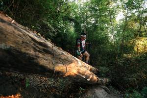 BIB: 
                            <button type="button" onclick="openModal(27941210)" class="btn btn-primary btn-sm float-right btn-popup" data-toggle="modal" data-target=".modal-high-quality">
                        <i class="fas fa-shopping-cart"></i> Add to Cart
                    </button>
                                            <button type="button" onclick="isThisMe(27941210, true)" class="btn btn-success btn-sm float-right btn-popup btn-isme hidden" data-toggle="tooltip" data-placement="bottom" title="นี่คือรูปของคุณใช่ไหม คลิกที่นี่เพื่อเอาเข้าอัลบั้ม">
                        <i class="fas fa-plus"></i> Add to album
                    </button>
                    <button type="button" onclick="isThisMe(27941210, false)" class="btn btn-warning btn-sm float-right btn-popup btn-isnotme hidden">
                        <i class="fas fa-ban"></i> Remove from album
                    </button>