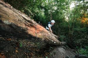 BIB: 
                            <button type="button" onclick="openModal(27958407)" class="btn btn-primary btn-sm float-right btn-popup" data-toggle="modal" data-target=".modal-high-quality">
                        <i class="fas fa-shopping-cart"></i> Add to Cart
                    </button>
                                            <button type="button" onclick="isThisMe(27958407, true)" class="btn btn-success btn-sm float-right btn-popup btn-isme hidden" data-toggle="tooltip" data-placement="bottom" title="นี่คือรูปของคุณใช่ไหม คลิกที่นี่เพื่อเอาเข้าอัลบั้ม">
                        <i class="fas fa-plus"></i> Add to album
                    </button>
                    <button type="button" onclick="isThisMe(27958407, false)" class="btn btn-warning btn-sm float-right btn-popup btn-isnotme hidden">
                        <i class="fas fa-ban"></i> Remove from album
                    </button>