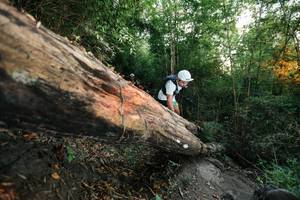 BIB: 
                            <button type="button" onclick="openModal(27958409)" class="btn btn-primary btn-sm float-right btn-popup" data-toggle="modal" data-target=".modal-high-quality">
                        <i class="fas fa-shopping-cart"></i> Add to Cart
                    </button>
                                            <button type="button" onclick="isThisMe(27958409, true)" class="btn btn-success btn-sm float-right btn-popup btn-isme hidden" data-toggle="tooltip" data-placement="bottom" title="นี่คือรูปของคุณใช่ไหม คลิกที่นี่เพื่อเอาเข้าอัลบั้ม">
                        <i class="fas fa-plus"></i> Add to album
                    </button>
                    <button type="button" onclick="isThisMe(27958409, false)" class="btn btn-warning btn-sm float-right btn-popup btn-isnotme hidden">
                        <i class="fas fa-ban"></i> Remove from album
                    </button>